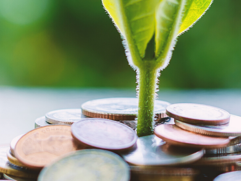 Where-could-responsible-investing-take-you