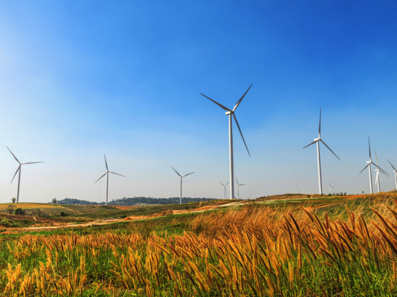 Alternative-Assets-in-your-investment-mix