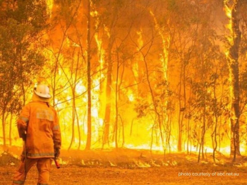 photo courtesy of abc.net.au