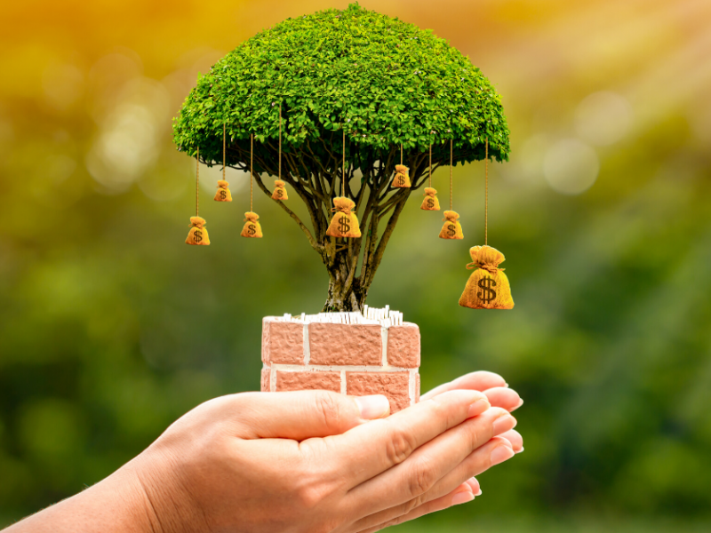 savings or term deposit, person holding growing tree